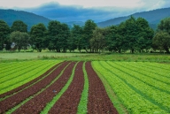 azienda agricola in vendita a Bergamo
