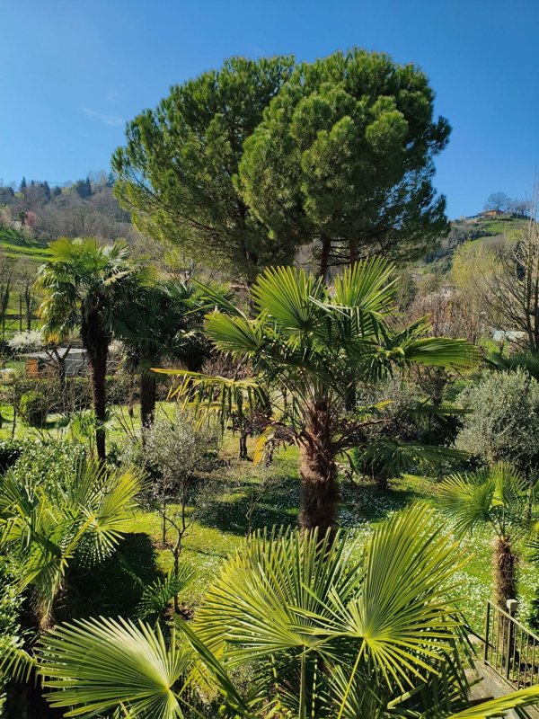 villa in vendita a Bergamo in zona Città Alta