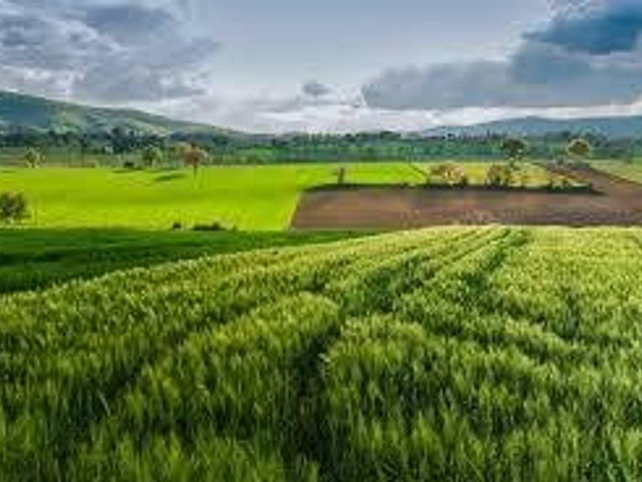 terreno edificabile in vendita a Bergamo in zona Colognola