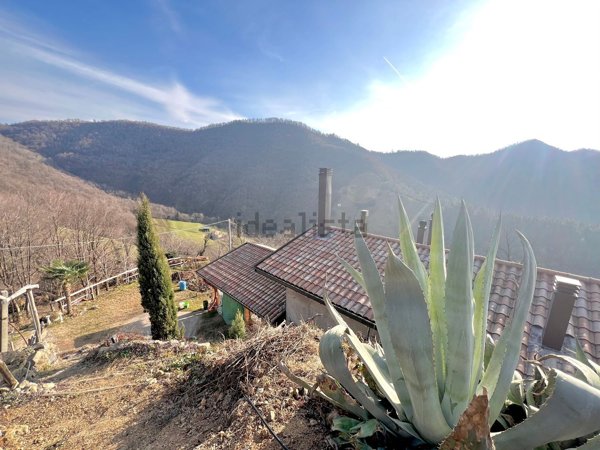 appartamento in vendita a Berzo San Fermo