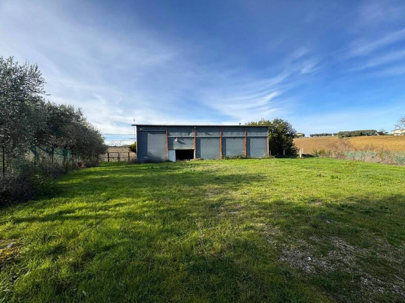 terreno agricolo in vendita a Berzo San Fermo