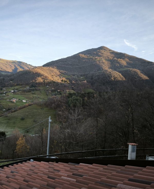 appartamento in vendita a Berzo San Fermo