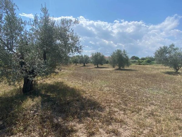terreno agricolo in vendita a Berzo San Fermo