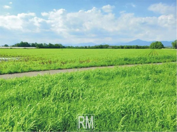 terreno agricolo in vendita a Bolgare
