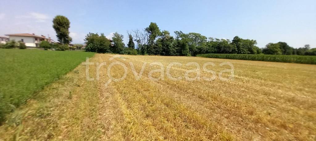 terreno agricolo in vendita a Bolgare