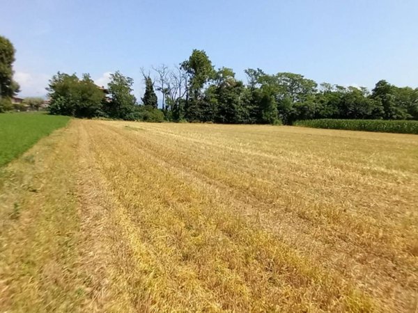 terreno agricolo in vendita a Bolgare