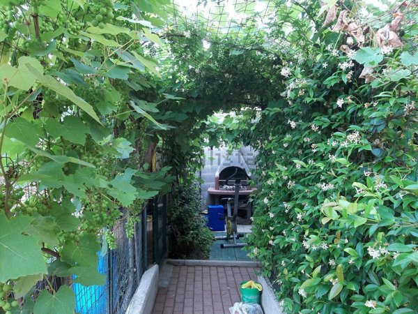 appartamento in vendita a Boltiere