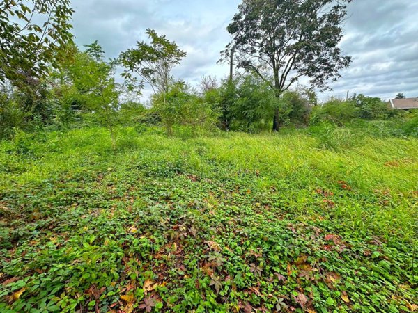 terreno agricolo in vendita a Boltiere