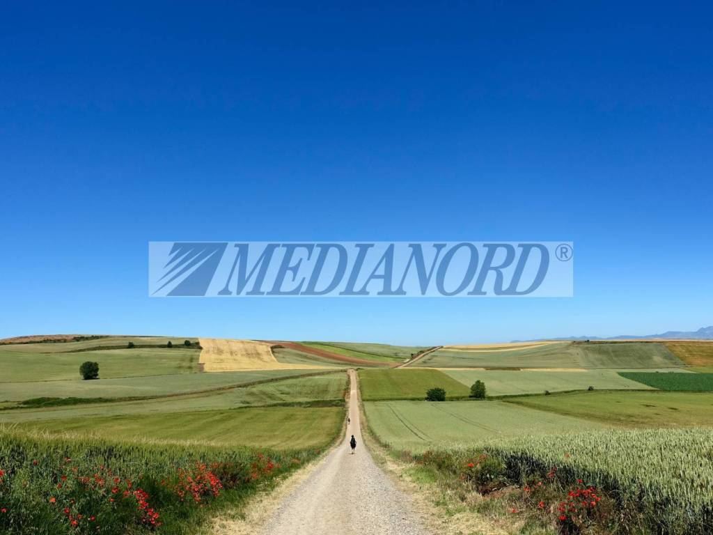 terreno agricolo in vendita a Boltiere