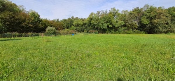 terreno agricolo in vendita a Bonate Sotto