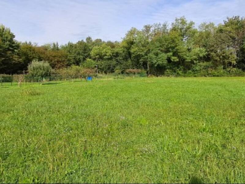 terreno agricolo in vendita a Bonate Sotto