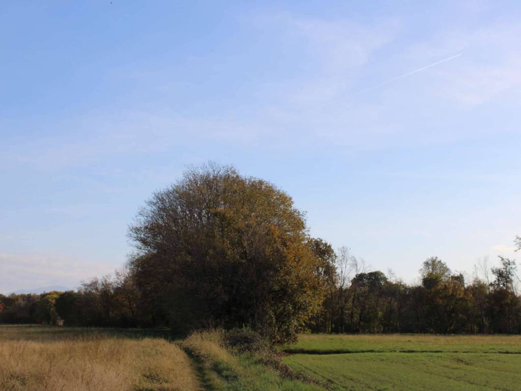terreno agricolo in vendita a Bonate Sotto