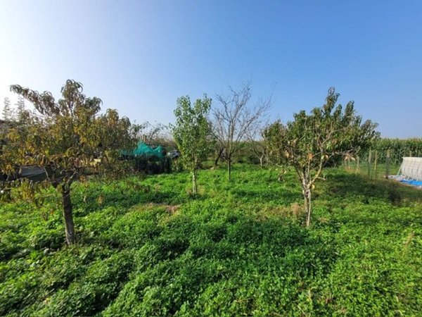 terreno agricolo in vendita ad Airasca