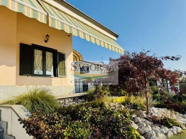 immagine annuncio 0 di 15