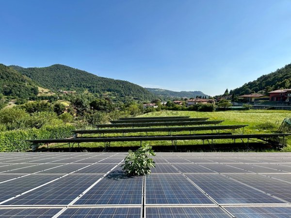 terreno edificabile in vendita a Borgo di Terzo in zona Borgo