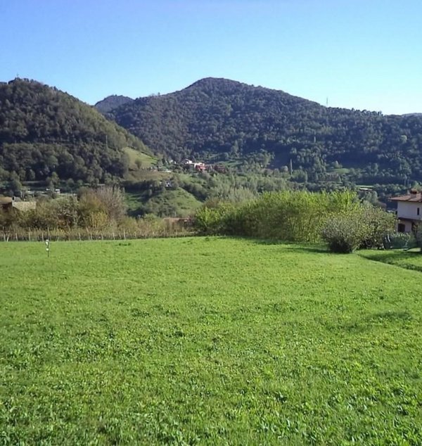 terreno edificabile in vendita a Borgo di Terzo in zona Borgo