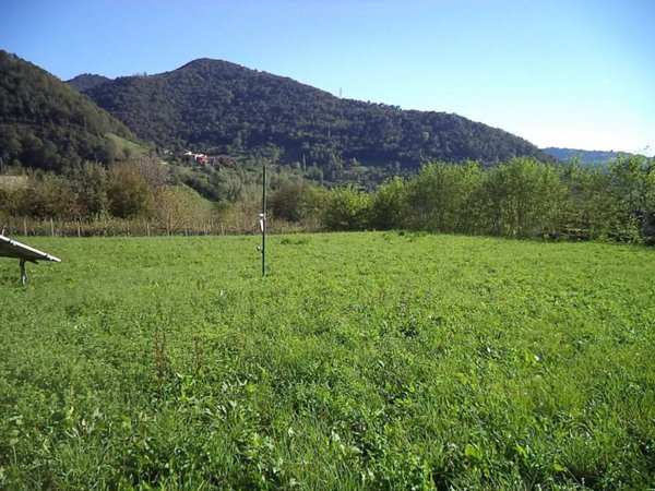 terreno edificabile in vendita a Borgo di Terzo in zona Borgo