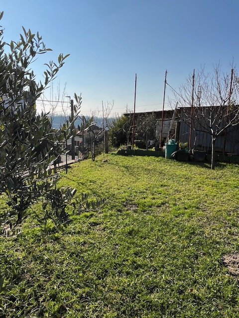 immagine annuncio 0 di 15