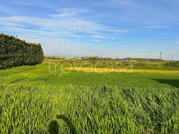 casa indipendente in vendita a Bottanuco