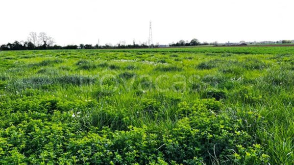 terreno agricolo in vendita a Bottanuco