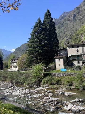 casa indipendente in vendita a Branzi