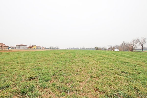 terreno agricolo in vendita a Brembate in zona Grignano
