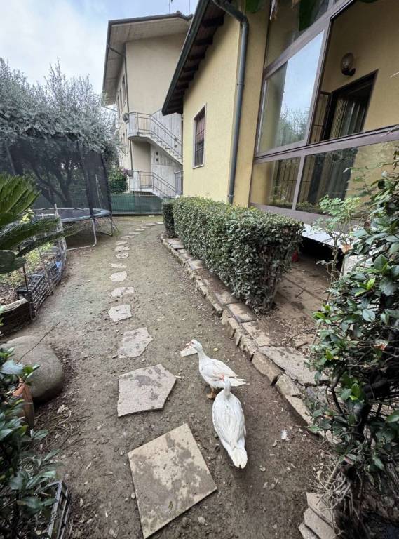 casa indipendente in vendita a Brembate di Sopra