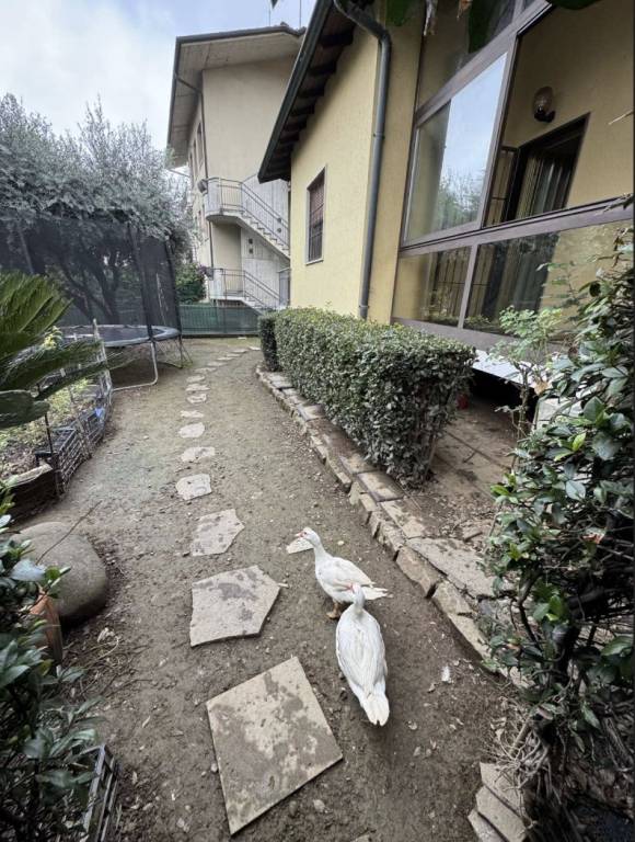 casa indipendente in vendita a Brembate di Sopra