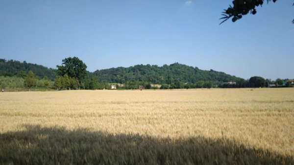 terreno agricolo in vendita a Brusaporto