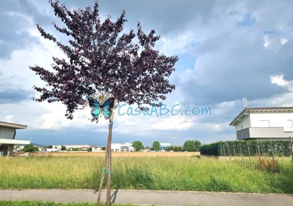 terreno edificabile in vendita a Calcinate