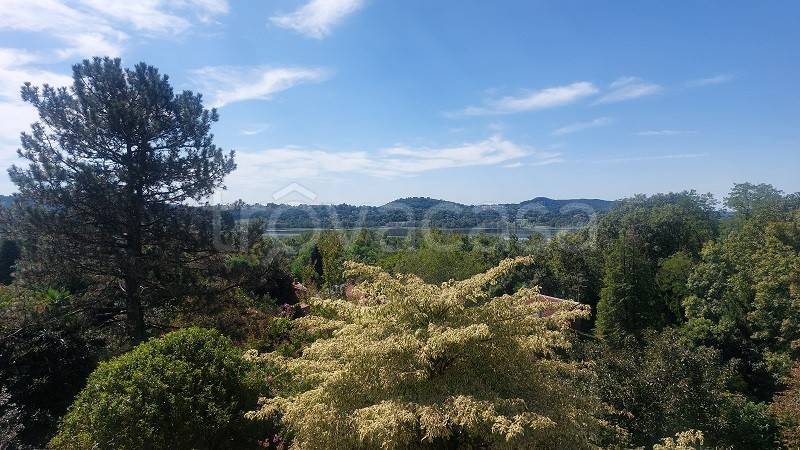 casa indipendente in vendita a Calcinate