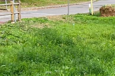 casa indipendente in vendita a Calusco d'Adda