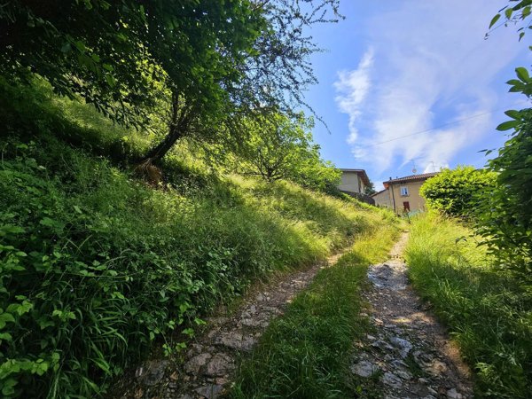 appartamento in vendita a Capizzone