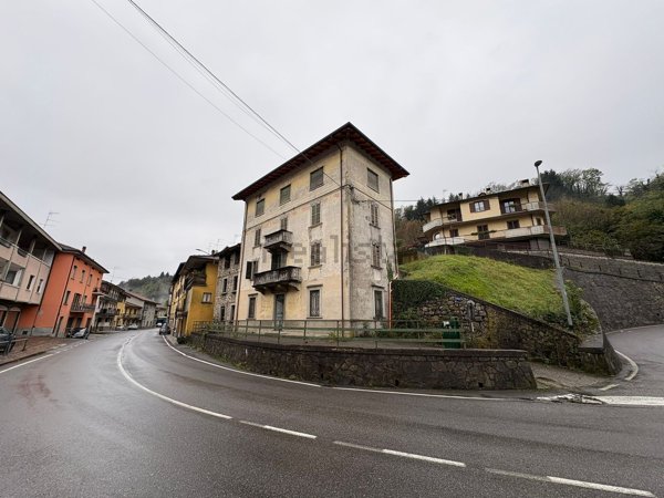 pentavano in vendita a Capizzone