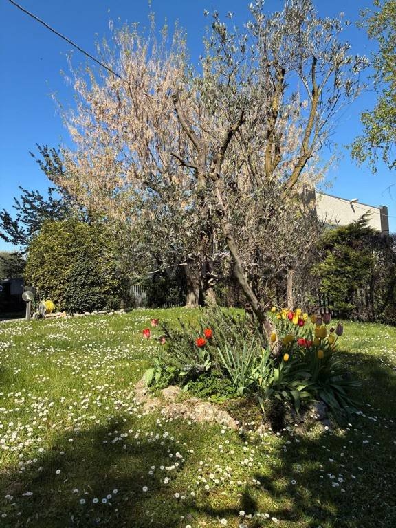 appartamento in vendita a Capriate San Gervasio
