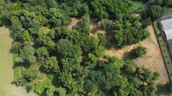 appartamento in vendita a Capriate San Gervasio in zona Capriate