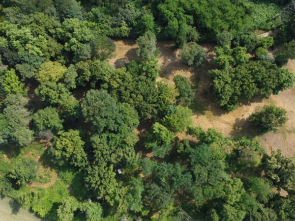 casa indipendente in vendita a Capriate San Gervasio in zona Capriate