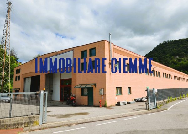 capannone in vendita a Caprino Bergamasco