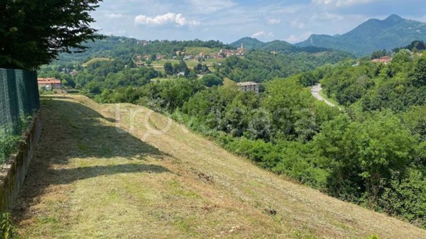 terreno agricolo in vendita a Caprino Bergamasco