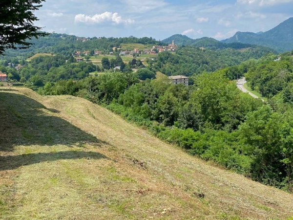 terreno agricolo in vendita a Caprino Bergamasco