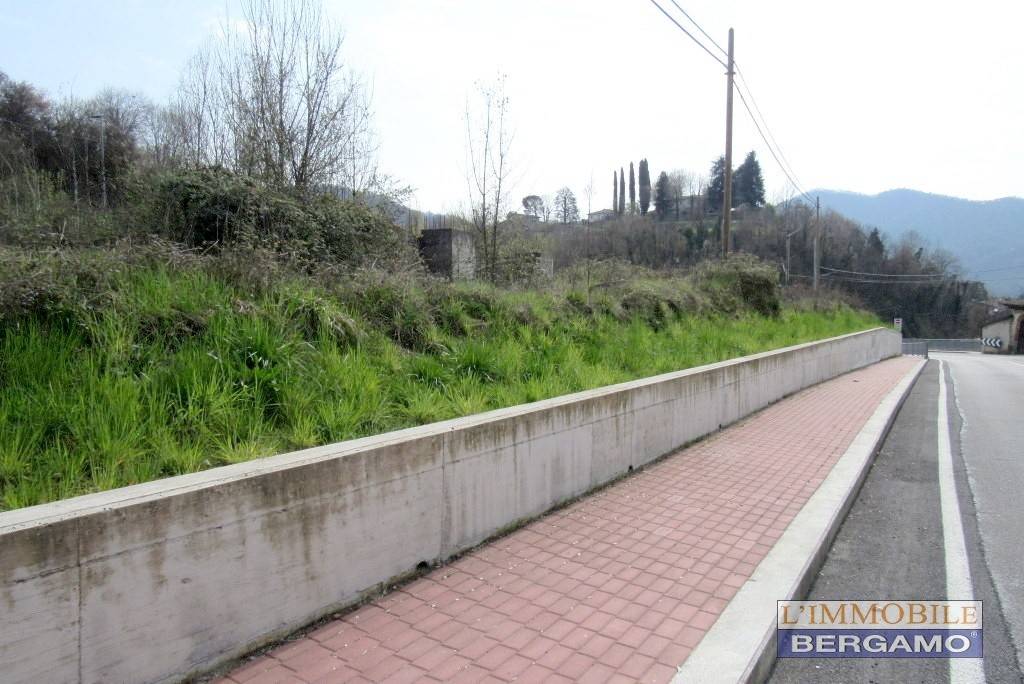 terreno agricolo in vendita a Caprino Bergamasco