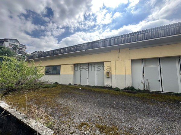 esavano in vendita a Caprino Bergamasco