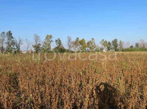 terreno agricolo in vendita a Caravaggio