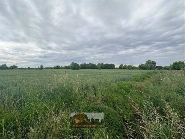 terreno agricolo in vendita a Caravaggio