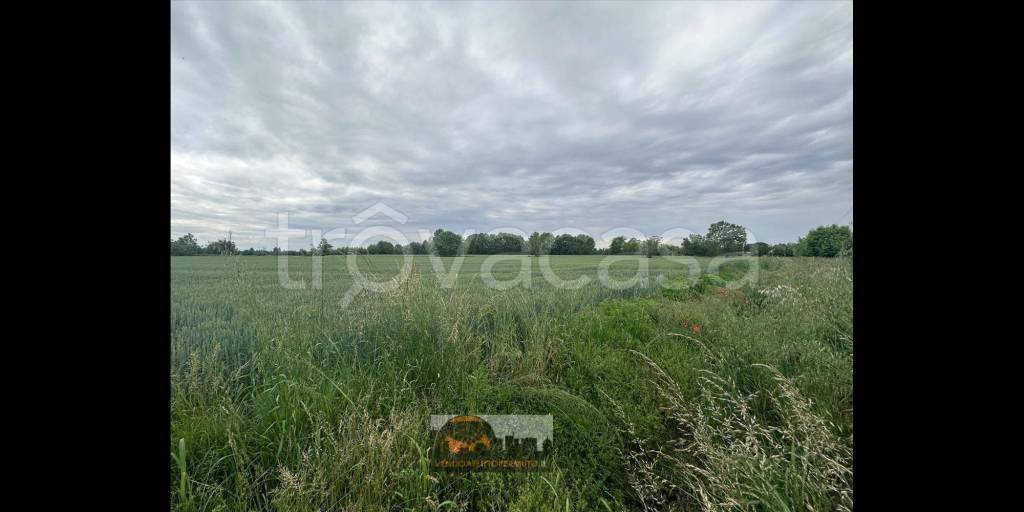 terreno agricolo in vendita a Caravaggio