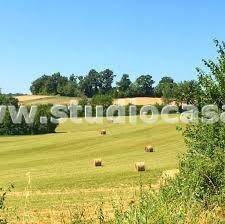 terreno agricolo in vendita a Caravaggio