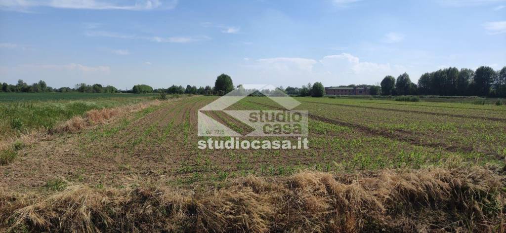 terreno edificabile in vendita a Caravaggio