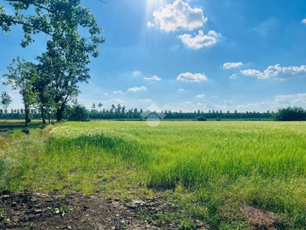terreno agricolo in vendita a Caravaggio
