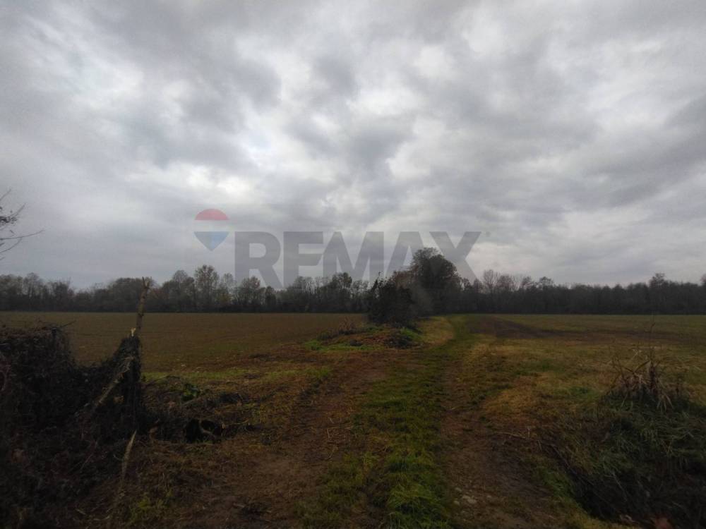 terreno agricolo in vendita a Caravaggio