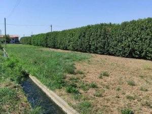 appartamento in vendita a Carobbio degli Angeli